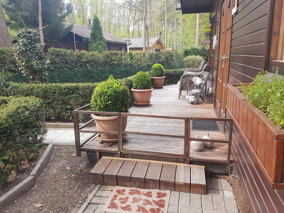 Charme Chalet Zutendaal Kültér fotó
